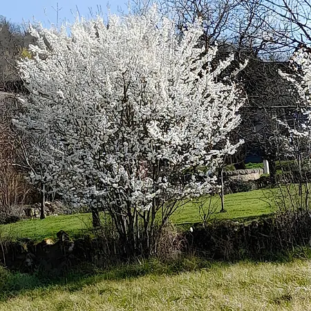 Holiday home Maison Quercynoise