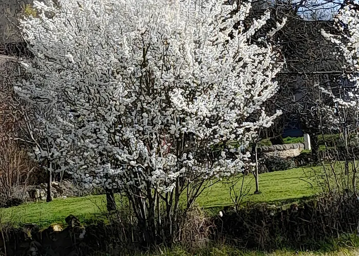 Holiday home Maison Quercynoise